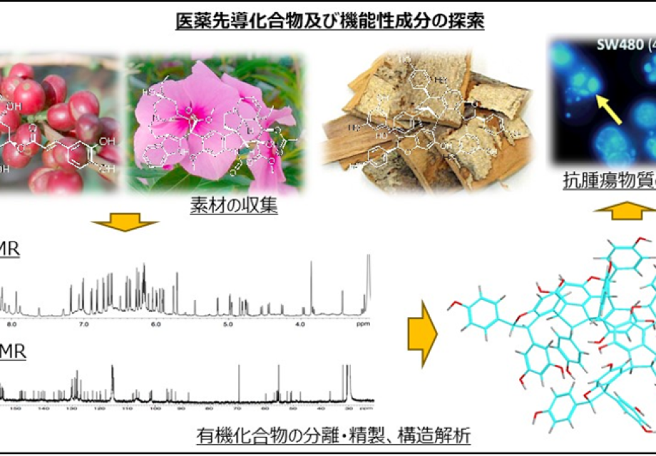 生物活性物質の合成研究 | 岐阜医療科学大学 薬学部